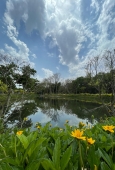 IIP Online Student Photography